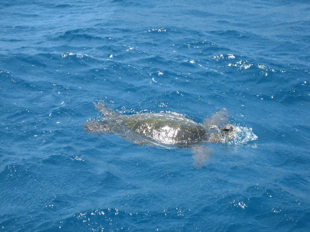 Maui, Hawaii